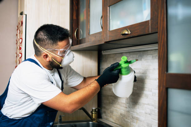 Best Pest Prevention Services  in Waverly, IL