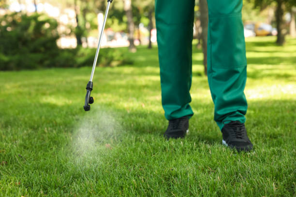 Best Bird Control  in Waverly, IL