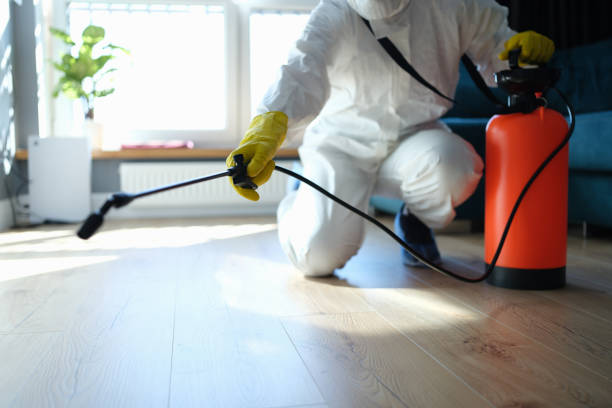 Best Affordable Pest Control Services  in Waverly, IL