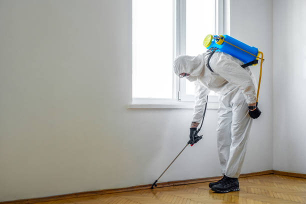 Best Best Pest Control Companies  in Waverly, IL