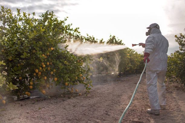 Flea Control Services in Waverly, IL
