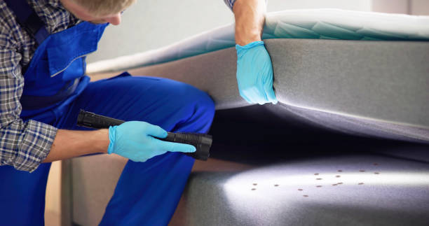 Best Ant Control Services  in Waverly, IL