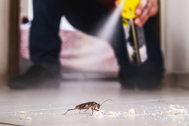 Best Best Pest Control Companies  in Waverly, IL