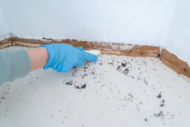Best Pest Inspection Near Me  in Waverly, IL