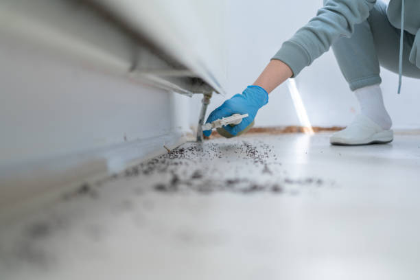 Best Bed Bug Extermination  in Waverly, IL